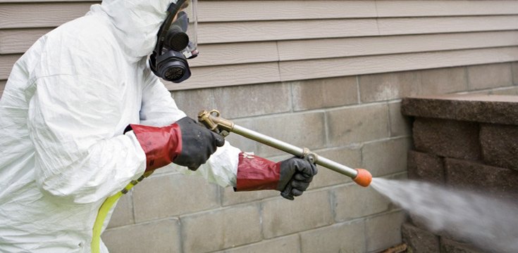 Termite Control & Treatment Services